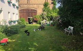 Gartenblick Im Schwalbennest
